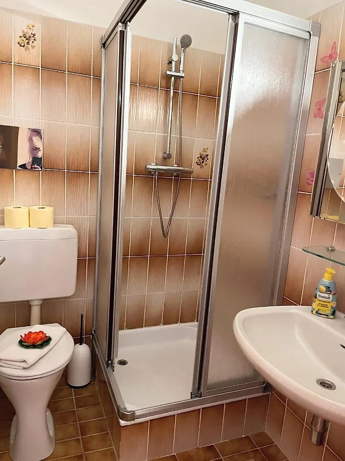 Apartment Fruehstueckspension Elena Nicoleta Caltun Fischamend Austria